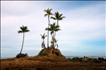 At low tide this island appeared